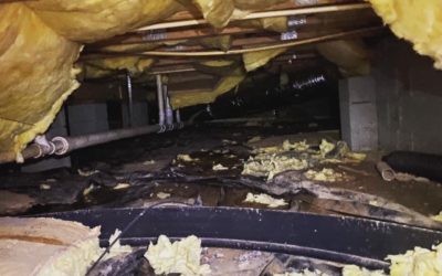 Three Reasons to Encapsulate your Crawl Space