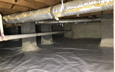 Is a Crawl Space Inspection Really Necessary?